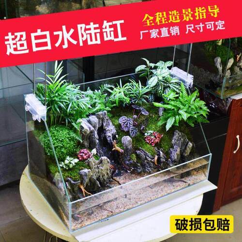 水陆雨林生态缸造景材料套餐两栖龟缸睫角蜗牛饲养缸
