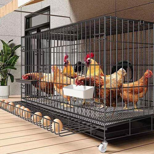 旧货市场鸡笼子家用养大号特大号自动清粪折叠养殖笼鸡舍铁丝网鸭