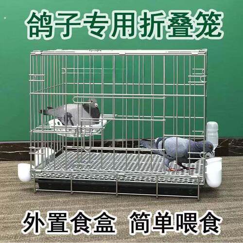 鸽子笼养鸽子专用笼养殖笼家用繁殖笼配对笼大号新型鸽舍鸽子笼子