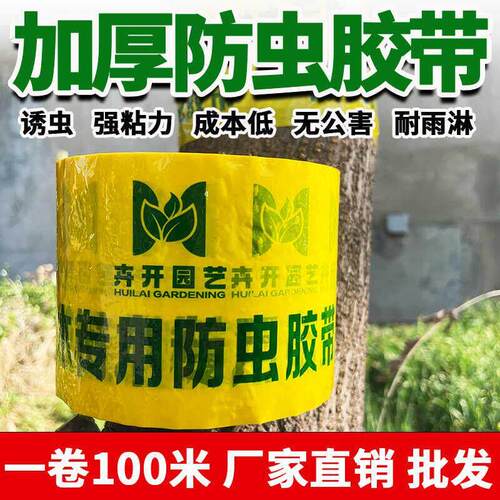 防虫胶带树木粘虫带果树专用双面黏虫带林业园林苗木诱虫绿化专用
