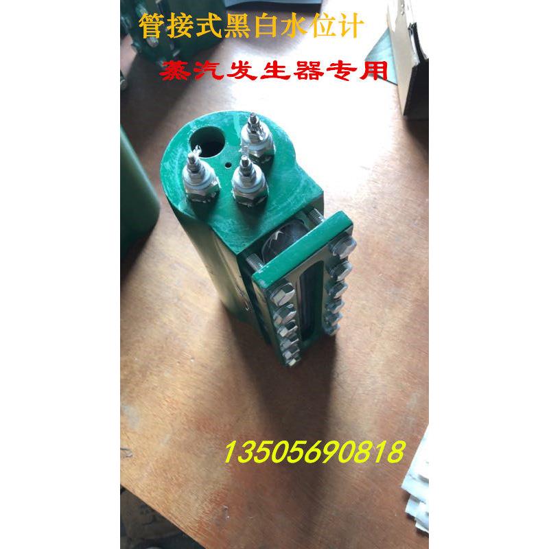 蒸汽产生器专用液位计 蒸气锅炉管接式电极式感测型黑白水位计