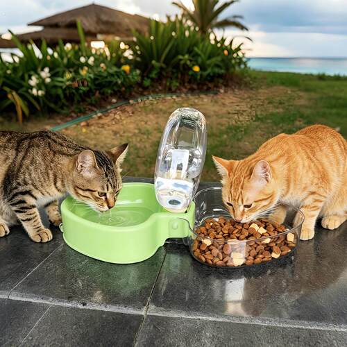 小流浪的饭碗！户外可携式流浪猫防尘猫粮水喂食器随身可折叠喂食