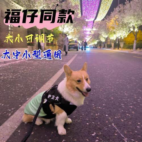 柯基外出背带胸背马甲夜间遛狗警灯反光安全绳巡逻犬马犬杜宾德牧