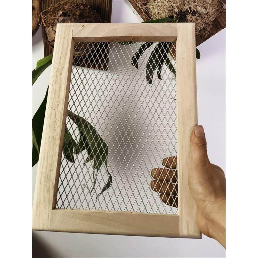 炭化304不锈钢鹿角蕨种植相框墙壁挂植物附植上板实木框网创板植