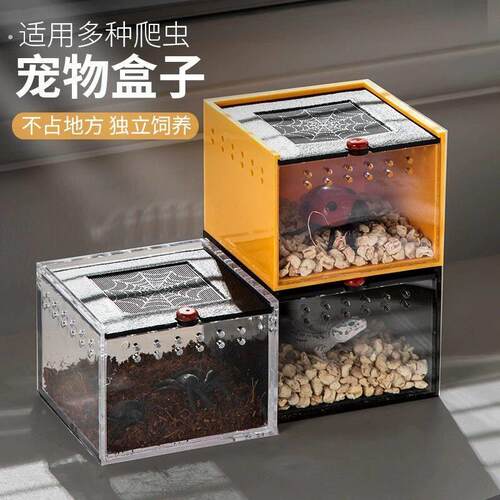 小型爬宠盒宠物爬虫箱亚克力蜘蛛蝎子甲虫昆虫饲养盒守宫养护繁殖