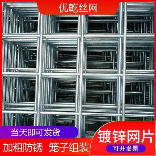 铁丝网围栏镀锌网片加厚加粗建筑网钢丝网格养殖隔离网