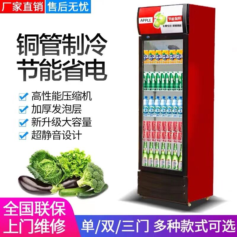 饮料展示柜啤酒柜商用冷藏冰柜双开门冷饮柜单门冷藏立式保鲜柜