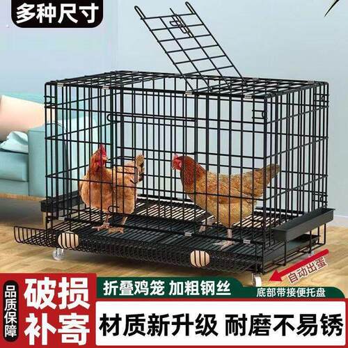 鸡笼子家用养殖折叠鸡笼加厚加密笼子蛋鸡自动滚蛋特大号鸡舍鸡窝