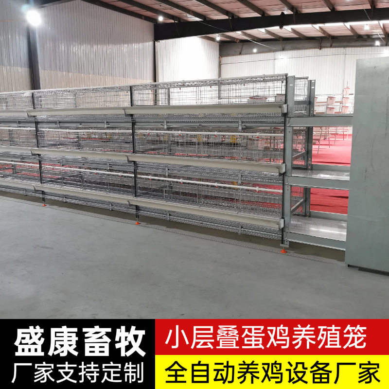 小层叠养殖鸡笼子农用养鸡蛋鸡笼镀锌自动化捡蛋喂料清粪蛋鸡笼