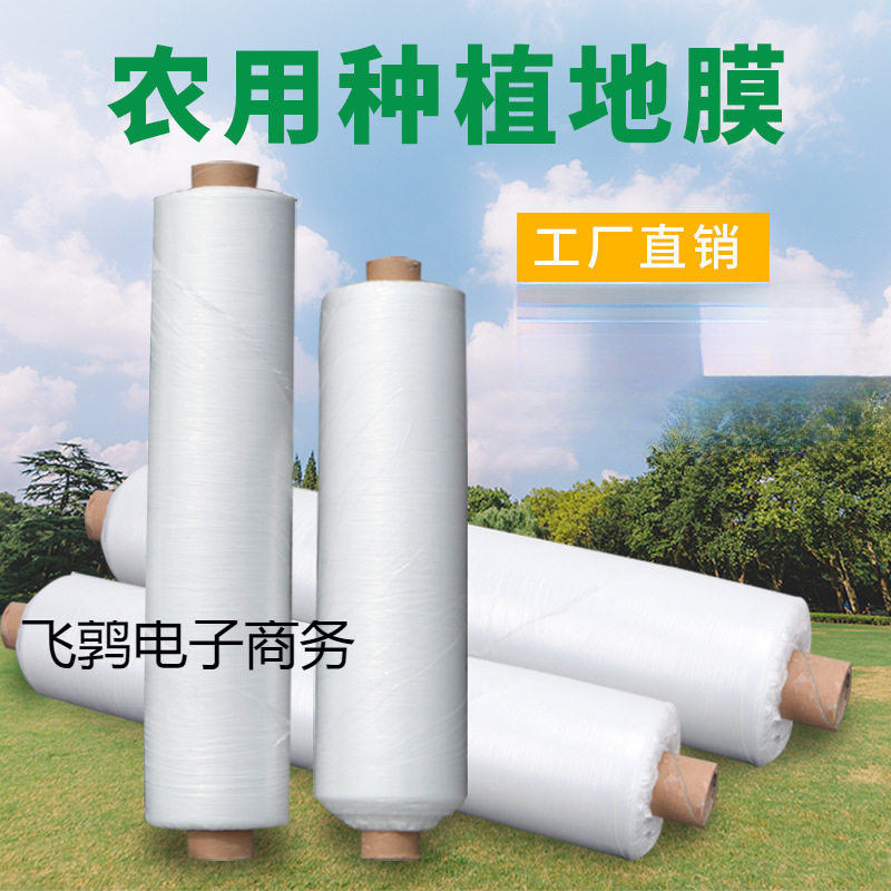 农用白膜大棚保温保湿工程膜