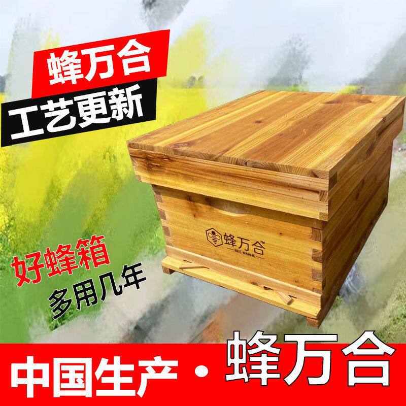 全杉木蜜蜂蜂箱批发烘干标准10框中蜂十框七框蜂箱养密蜂工具批发