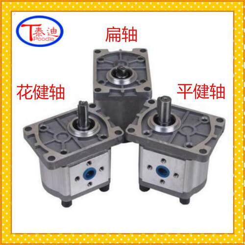 CBN-F304 CBN-F306 CBN-F308 CBN-F310 CBN-F312齿轮油泵