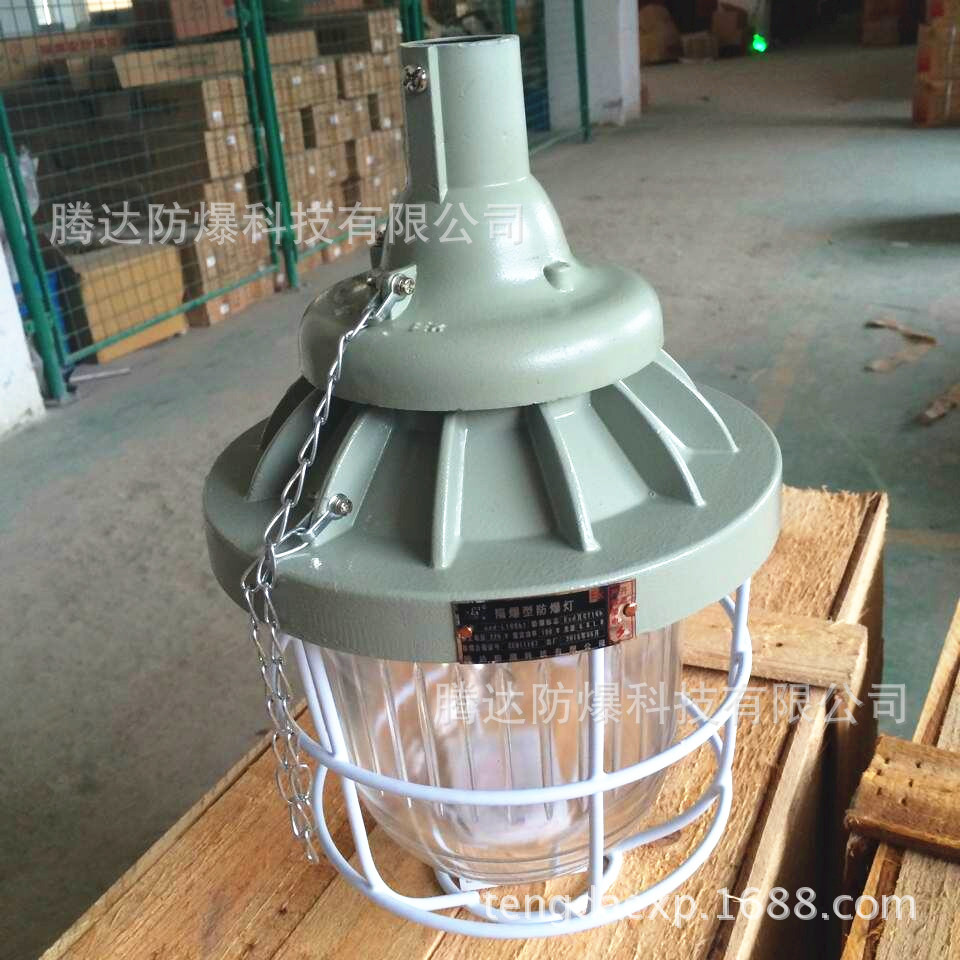 ccd-200IICT5隔爆型防爆灯BCD厂棚防爆吊顶灯厂用防爆照明节能
