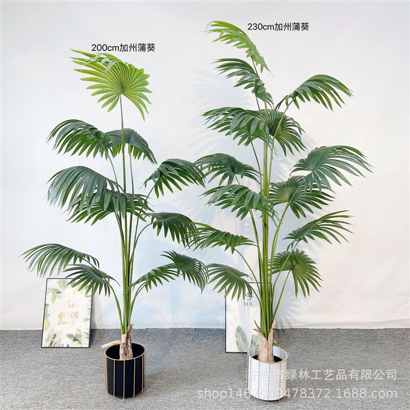北欧热带加州蒲葵仿真绿植盆栽 客厅落地圆叶扇葵树绿植盆景摆件