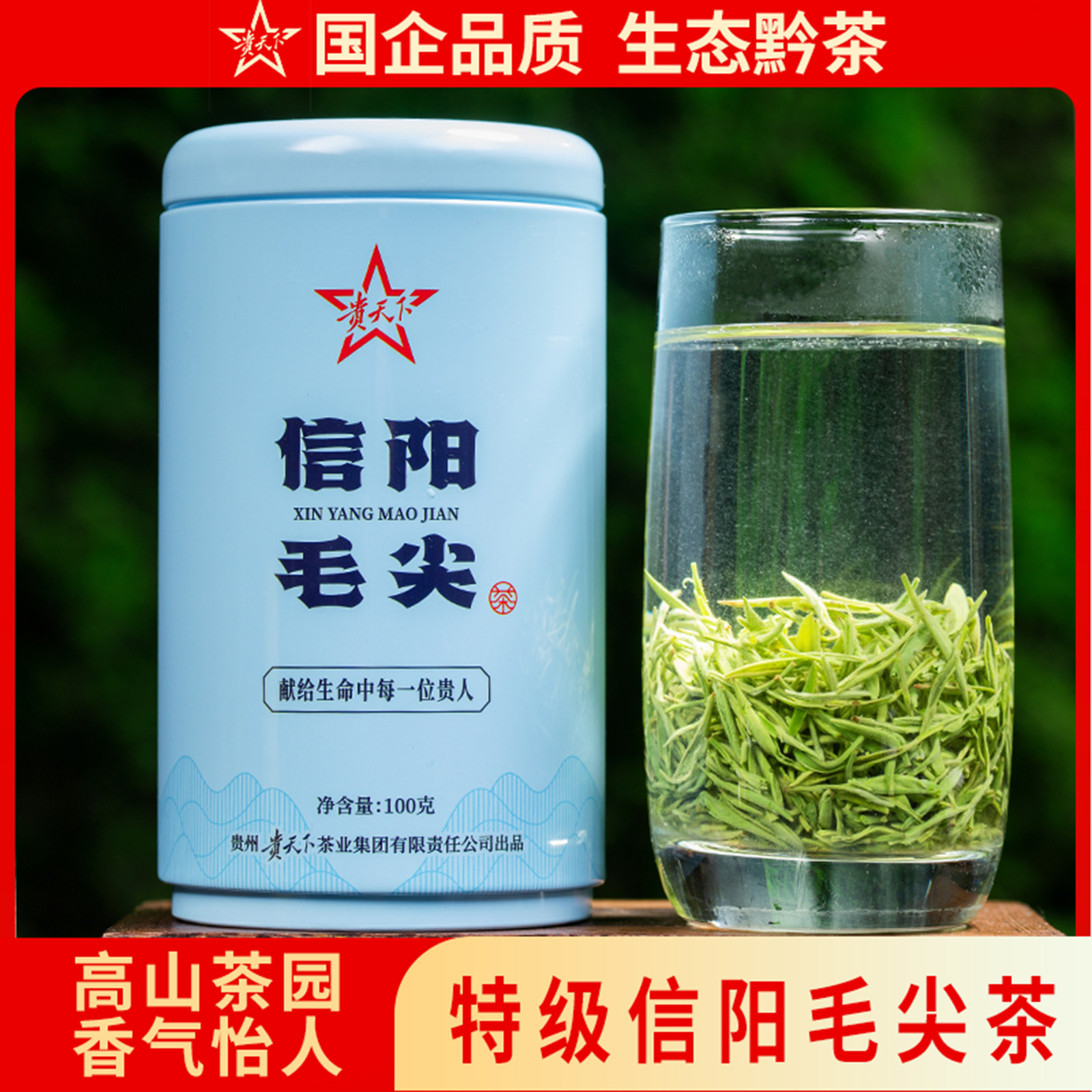 特级信阳毛尖绿茶 明前花香型茶叶100g一罐装 高端品质
