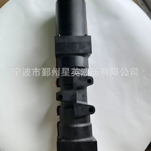 R431003808P55557-3八位气缸