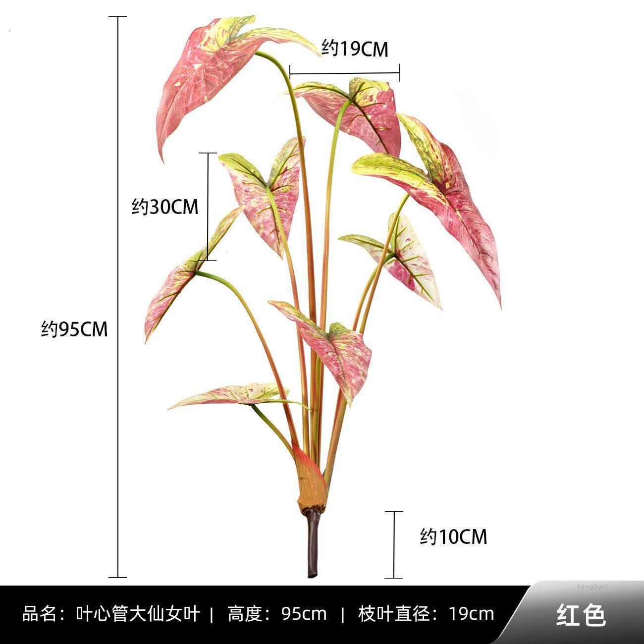 彷真高级感彩芋大仙女叶植物墙海芋叶盆栽滴水观音园林绿化造景