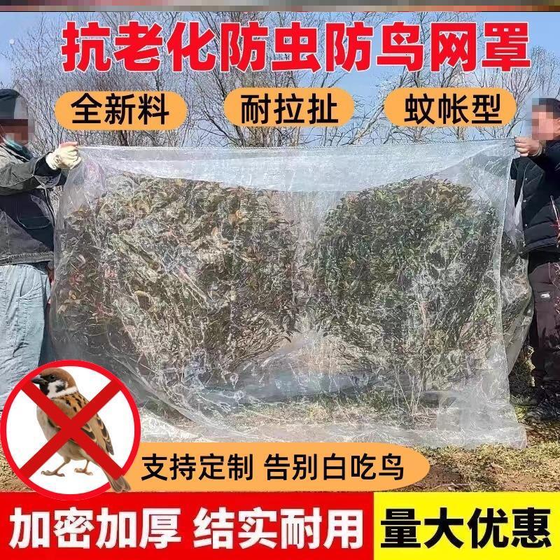 果树鸟防护网防鸟蚊帐果园防虫网罩神器用的网农用种菜专用尼龙网