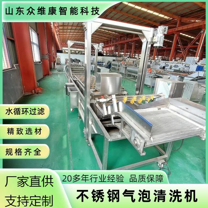 果蔬气泡清洗机去农残去泥