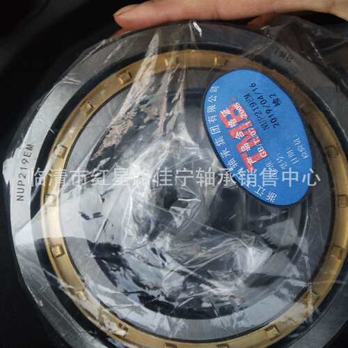 现货销售 TMB 圆柱滚子轴承 NUP219EM