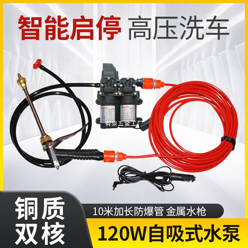 家用高压洗车机水泵12V/220V