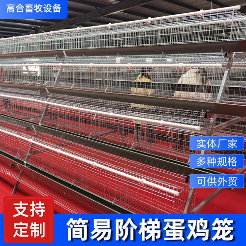 冷镀锌丝阶梯蛋鸡笼四层四门A字形白槽绿槽养殖鸡笼蛋鸡笼可外贸