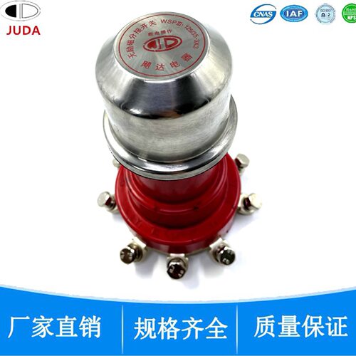 油浸式变压器无励磁盘型分接开关tap changer WSP 125/35-3*3