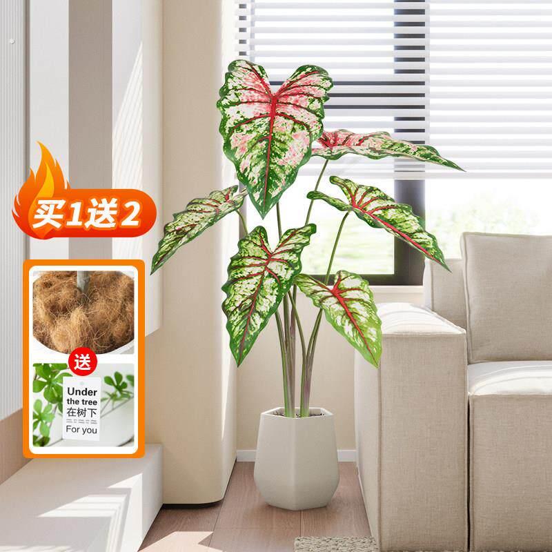 彷真绿色植物假植物盆栽彩叶芋客厅家居沙发轻奢装饰室内落地盆景