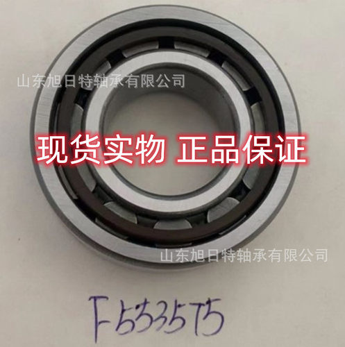 F-553575.01.NUP  XRT轴承 XRT圆柱滚子轴承 XRT进口轴承