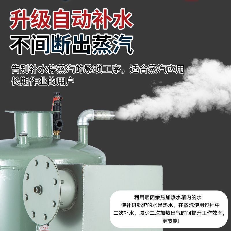 柴煤两用节能家用商用蒸汽炉图片