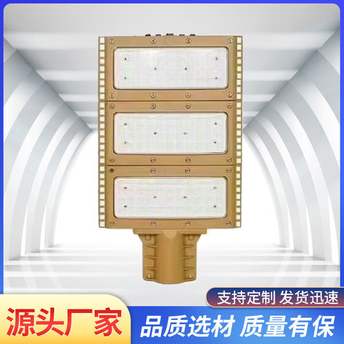 LED防爆路灯6米加气加油站化户外高杆防爆路灯头50W300W200w100w