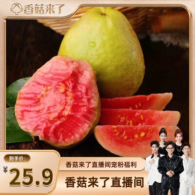 【香菇来了】广西软糯红心芭乐水果新鲜包邮应季番石榴