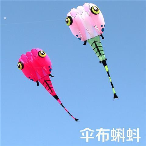 青州马老四风筝 高档伞布参赛级蝌蚪 好飞易飞特大软体立体大风筝