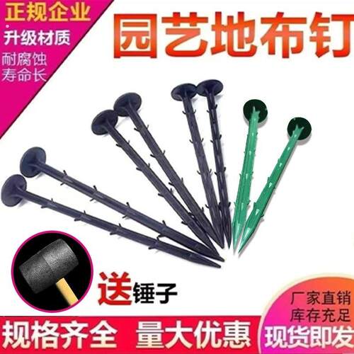 塑料地钉加粗加长大棚温室遮阳网塑料膜固定园艺草坪地膜塑料钉子