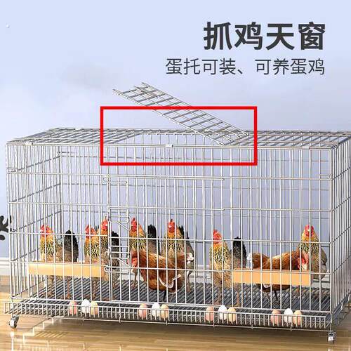 室外养鸡专用笼鸡笼子养殖笼家用大号特大号折叠养殖笼鸡舍鸡窝笼