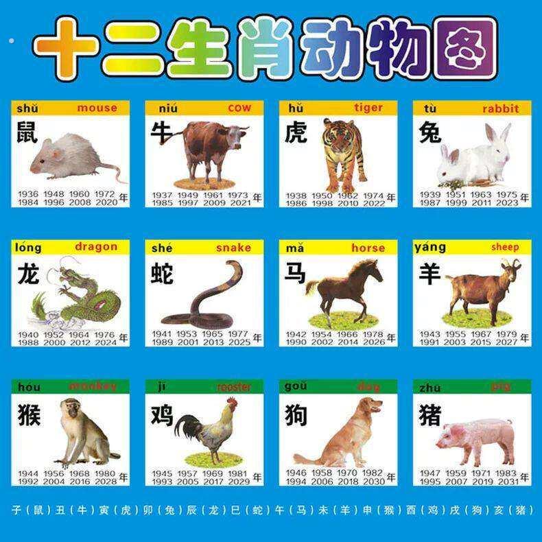 12生肖图片十二生肖动物大海报画小鼠牛虎兔龙蛇马羊猴鸡狗猪属相