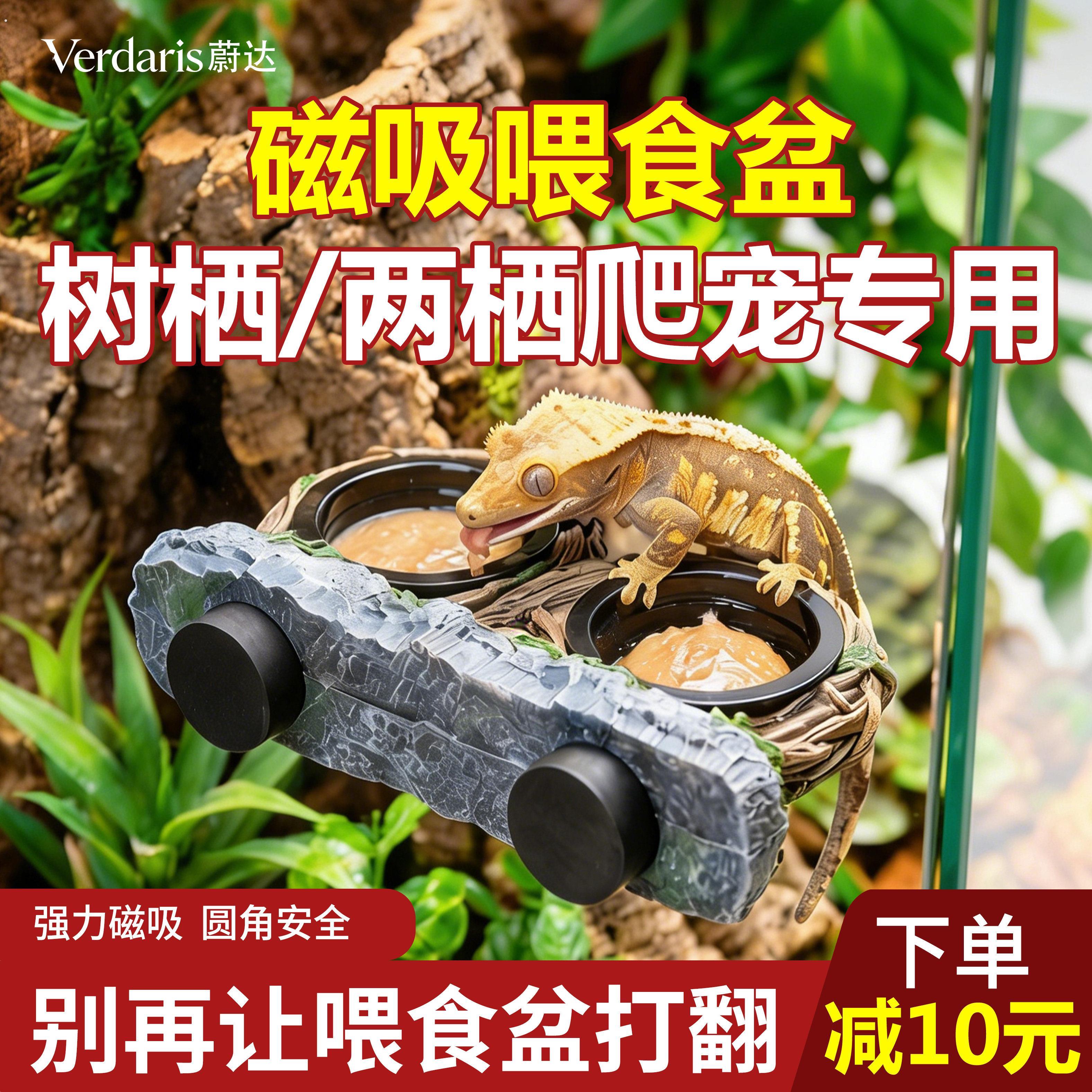 爬宠磁吸喂食盆守宫睫角水碗悬挂一体蜥蜴水盆爬虫食盆果泥喂食器