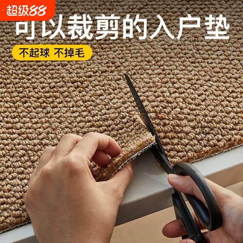 入户门地垫彷剑麻门垫2025新款可裁剪地毯门口进门脚垫防滑自由