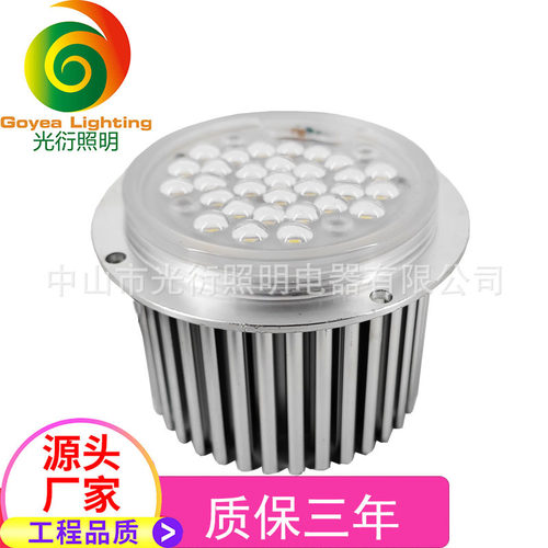 LED玉兰灯模组30W角度可选