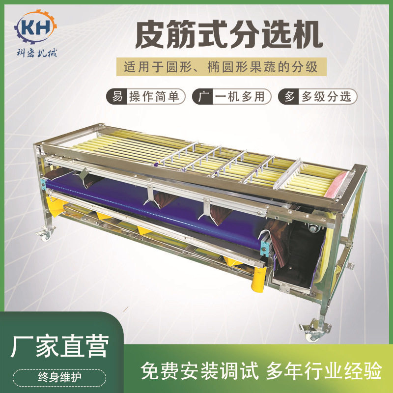 果蔬皮筋式自动分级机