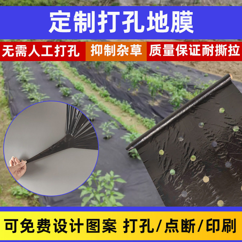 打孔黑地膜农用地膜反光银黑地膜有孔除草地膜针眼银黑除草地膜