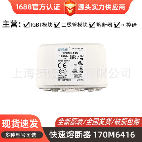 170M6416/170M6417快速熔断器