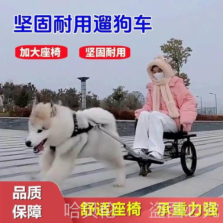 宠物车双刹哈士奇外出可拉人车狗狗二哈手推车羊拉人车其他