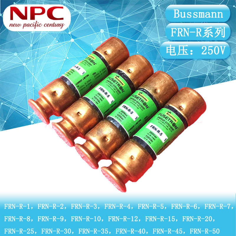 BUSSMANN延时熔断器15A250V