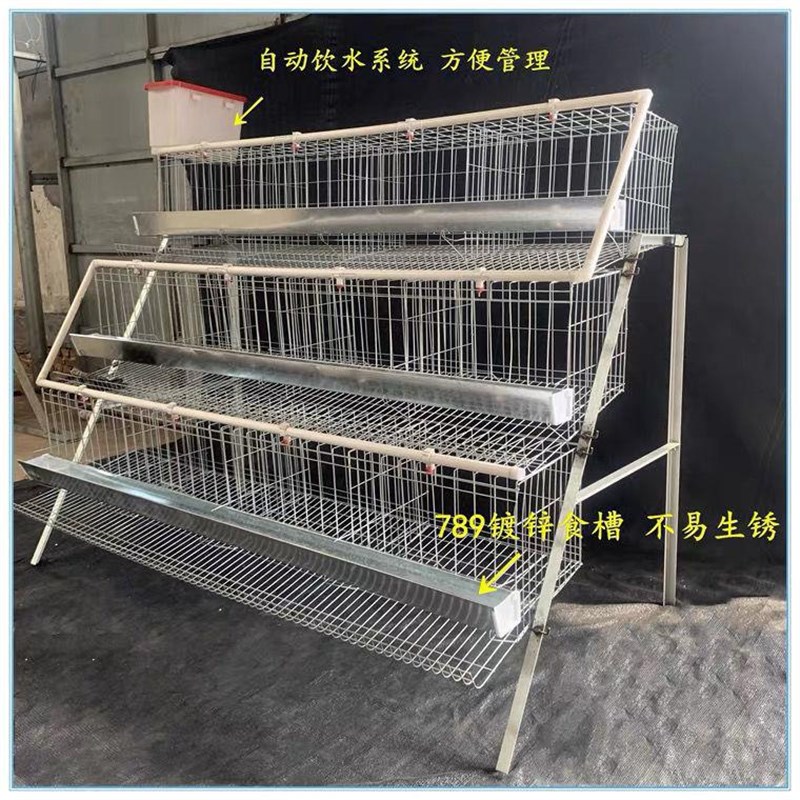 优质蛋鸡笼养殖场专用笼鸡笼子阶梯式蛋鸡笼养鸡设备养殖鸡笼全套