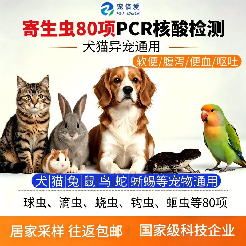 寄生虫PCR猫狗检测弓形虫滴虫兔子豚鼠检测便检宠倍爱顺丰【送检