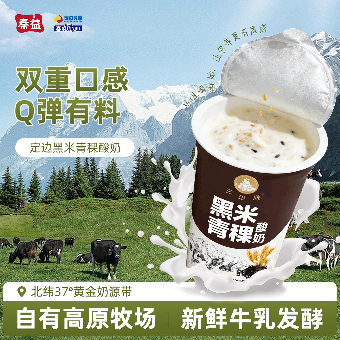 秦益黑米青稞酸奶营养高蛋白补充蛋白质钙早餐奶嚼劲颗粒液态奶