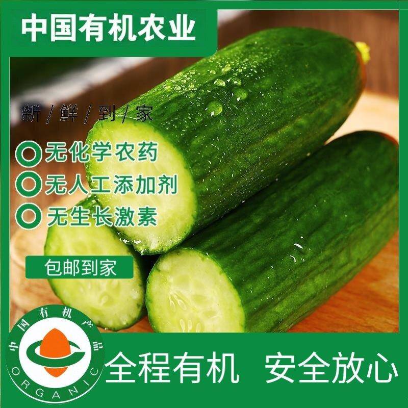 有机水果黄瓜3斤 有机认证现摘现发新鲜蔬菜食用黄瓜天然种植