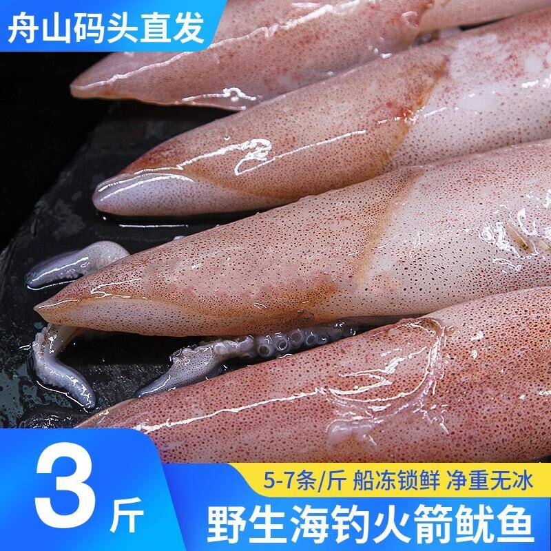 海钓红鱿鱼脆皮小管鲜活冷冻野生硬皮枪火箭笔管乌贼海兔海鲜水产
