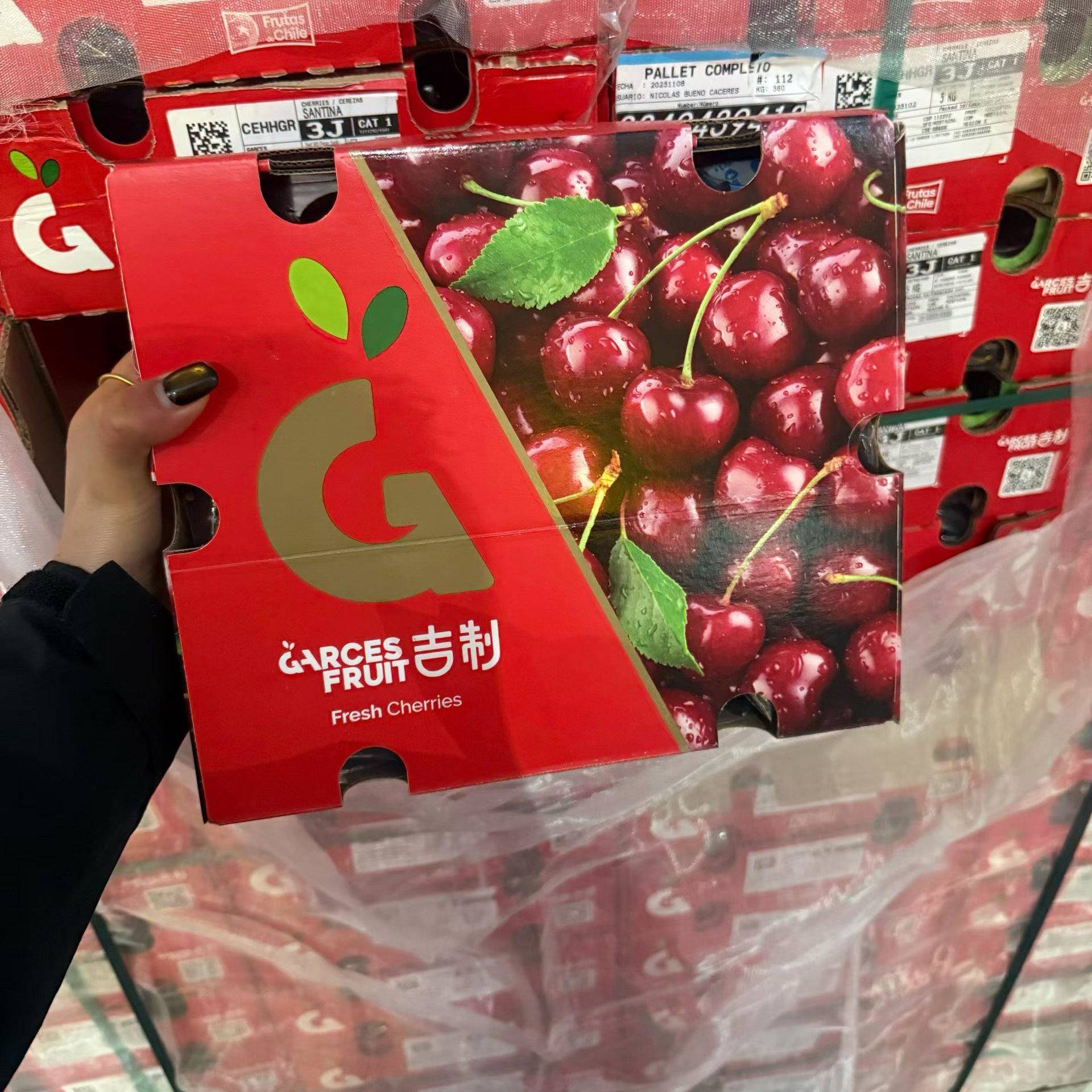 吉制大樱桃大樱桃黑车大果甜脆鲜果礼盒装6J樱桃新鲜孕妇水果包邮